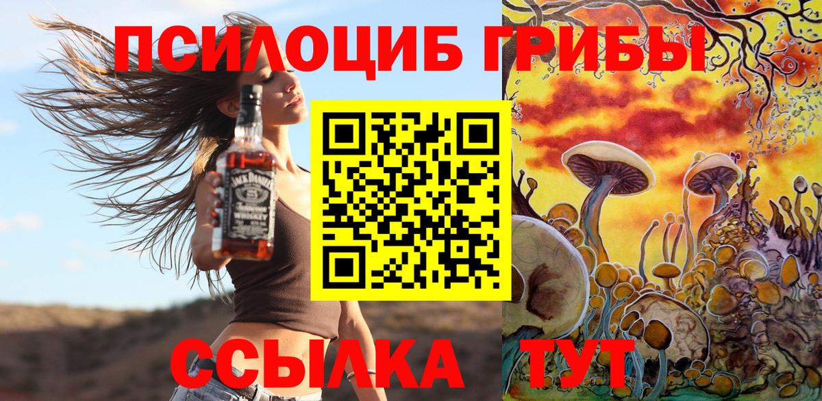 Кувандык  Псилоцибиновые грибы GOLDEN TEACHER  Вход с VPN 