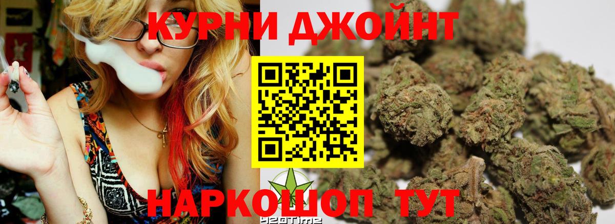 Бошки Шишки сатива Кувандык